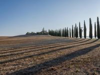 Dawn Over the Tuscan Landscape in Italy