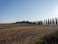 Dawn Over the Tuscan Landscape in Italy