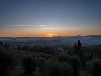 this is a sunrise over an italian countryside scene with a hill and forest in the background