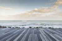 Dawn over Water: Horizon of Te Ika-a-Māui