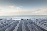 Dawn over Water: Horizon of Te Ika-a-Māui