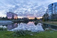 a beautiful view of a park near the water at sunset, with skyscrapers and a small lagoon in the background