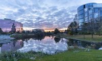 a beautiful view of a park near the water at sunset, with skyscrapers and a small lagoon in the background