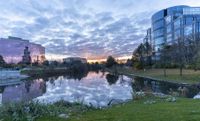 a beautiful view of a park near the water at sunset, with skyscrapers and a small lagoon in the background