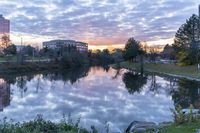 a beautiful view of a park near the water at sunset, with skyscrapers and a small lagoon in the background