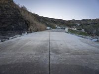 Dawn in Portugal: Road, Trees, and Ocean