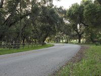 a paved road running through some trees and grass on the side of a road with a gate to the sides