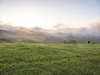 Dawn Road in California USA Landscape 001