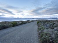 Dawn Road with Low-Lying Clouds on California Coast