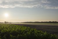 Dawn Road in Rural Landscape Canada 002