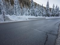 there is a person on skis standing on the road with snow in front of trees