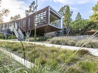 Dawn Road: Exploring the Suburban Property