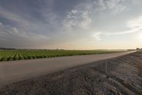 Dawn in Rural Canada: Low Clouds and a Lush Field