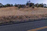 Dawn Over Rural Landscape with Asphalt Road and Tree