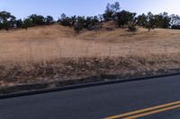 Dawn Over Rural Landscape with Asphalt Road and Tree