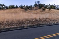 Dawn Over Rural Landscape with Asphalt Road and Tree