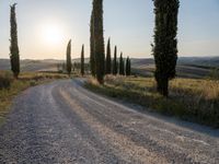 Dawn in Rural Landscape of Tuscany, Italy