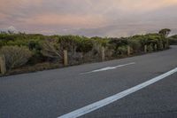 Dawn Over Rural Road With Sunlight on Trees and Grass