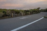 Dawn Over Rural Road With Sunlight on Trees and Grass