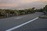 Dawn on Rural Road with Sunlight Through Trees and Grass