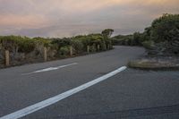 Dawn Over Rural Road With Sunlight on Trees and Grass