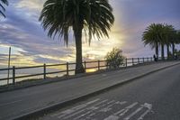 a wide open road with palm trees next to a railing and sea view at sunrise