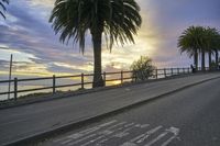 a wide open road with palm trees next to a railing and sea view at sunrise