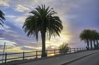 a wide open road with palm trees next to a railing and sea view at sunrise