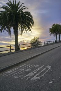 a wide open road with palm trees next to a railing and sea view at sunrise