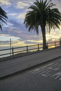 a wide open road with palm trees next to a railing and sea view at sunrise
