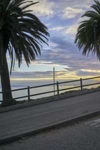 a wide open road with palm trees next to a railing and sea view at sunrise