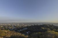 a view of hollywood from atop the mountain in the hollywood hills area of los angeles, california