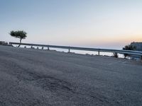 a bike leans against a road near a large tree with an ocean in the background