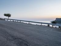 a bike leans against a road near a large tree with an ocean in the background