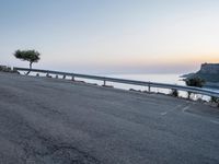 a bike leans against a road near a large tree with an ocean in the background