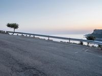 a bike leans against a road near a large tree with an ocean in the background