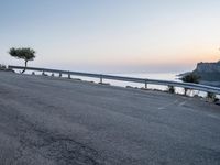 a bike leans against a road near a large tree with an ocean in the background