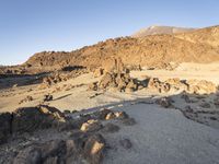 Dawn in the Spanish Desert