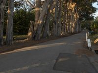 Dawn on a Suburban Road in San Francisco, California, USA