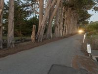 Dawn on a Suburban Road in San Francisco, California, USA