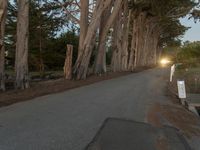 Dawn on a Suburban Road in San Francisco, California, USA