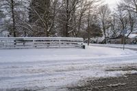 snow covers the road of a suburban park in the morning light, during a very snowy day