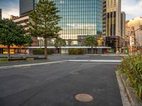 a paved lot with buildings in the background and one green tree is in the middle