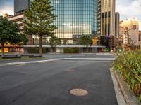 a paved lot with buildings in the background and one green tree is in the middle