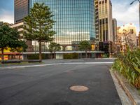 a paved lot with buildings in the background and one green tree is in the middle