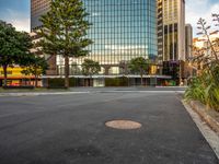 a paved lot with buildings in the background and one green tree is in the middle