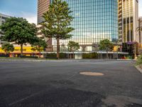 a paved lot with buildings in the background and one green tree is in the middle