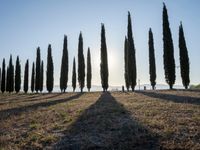 Dawn in Tuscany, Italy