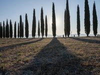 Dawn in Tuscany, Italy