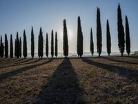 Dawn in Tuscany, Italy